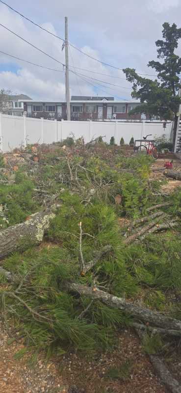 Sandoval Brothers Services LLC